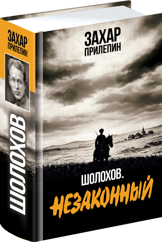 Шолохов. Незаконный