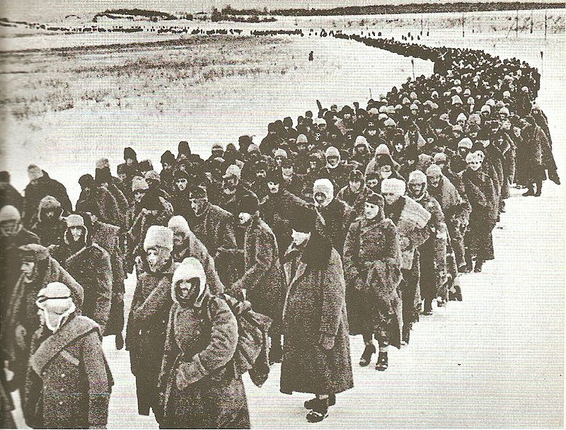 Пленённые под Сталинградом немецкие, итальянские, венгерские и другие военнослужащие, 1943 год