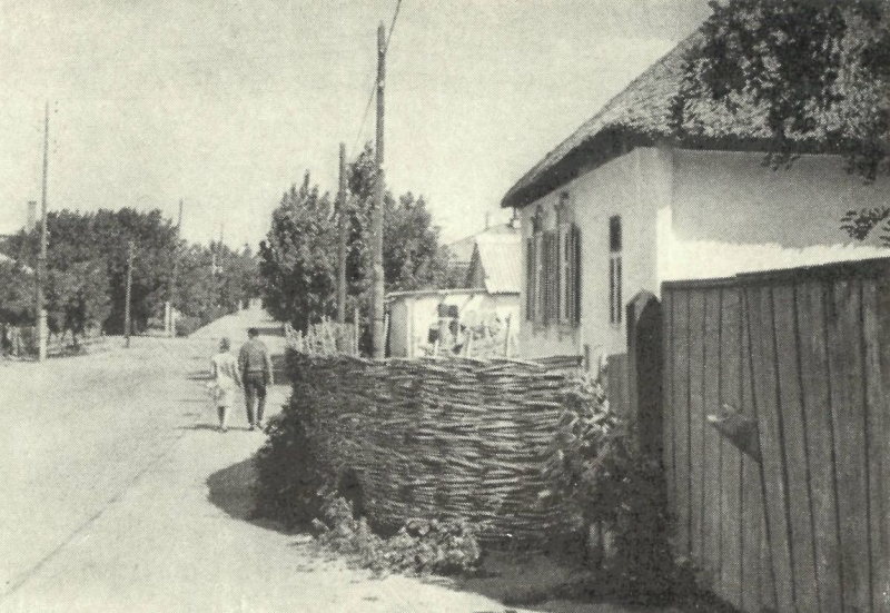 Улица в Вешенской