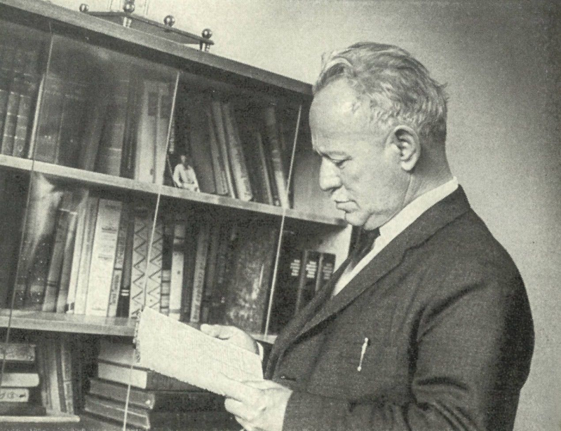 У книжных полок